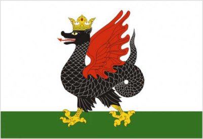 Флаг Казани 90х135 см