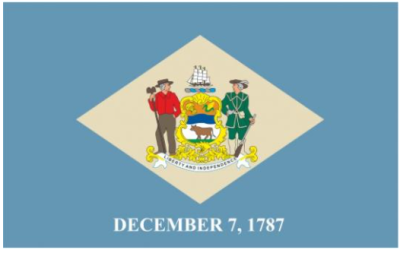 Флаг штата Делавэр (США) 90х135 см